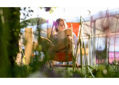 Gestión cultural | Escuela Cursiva