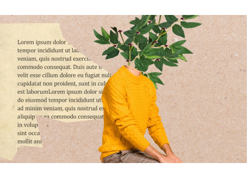 Especialista en crítica literaria | Escuela Cursiva