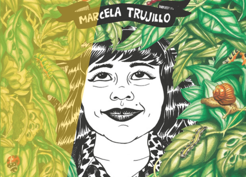 Novela gráfica. De la idea al storyboard