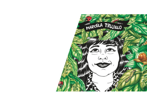 Novela gráfica. De la idea al storyboard