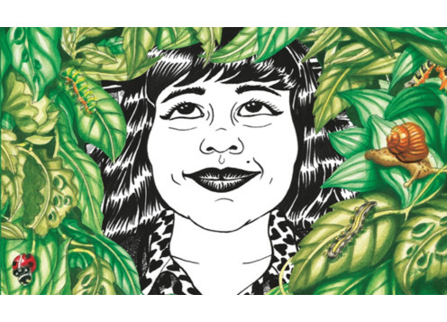 Novela gráfica. De la idea al storyboard