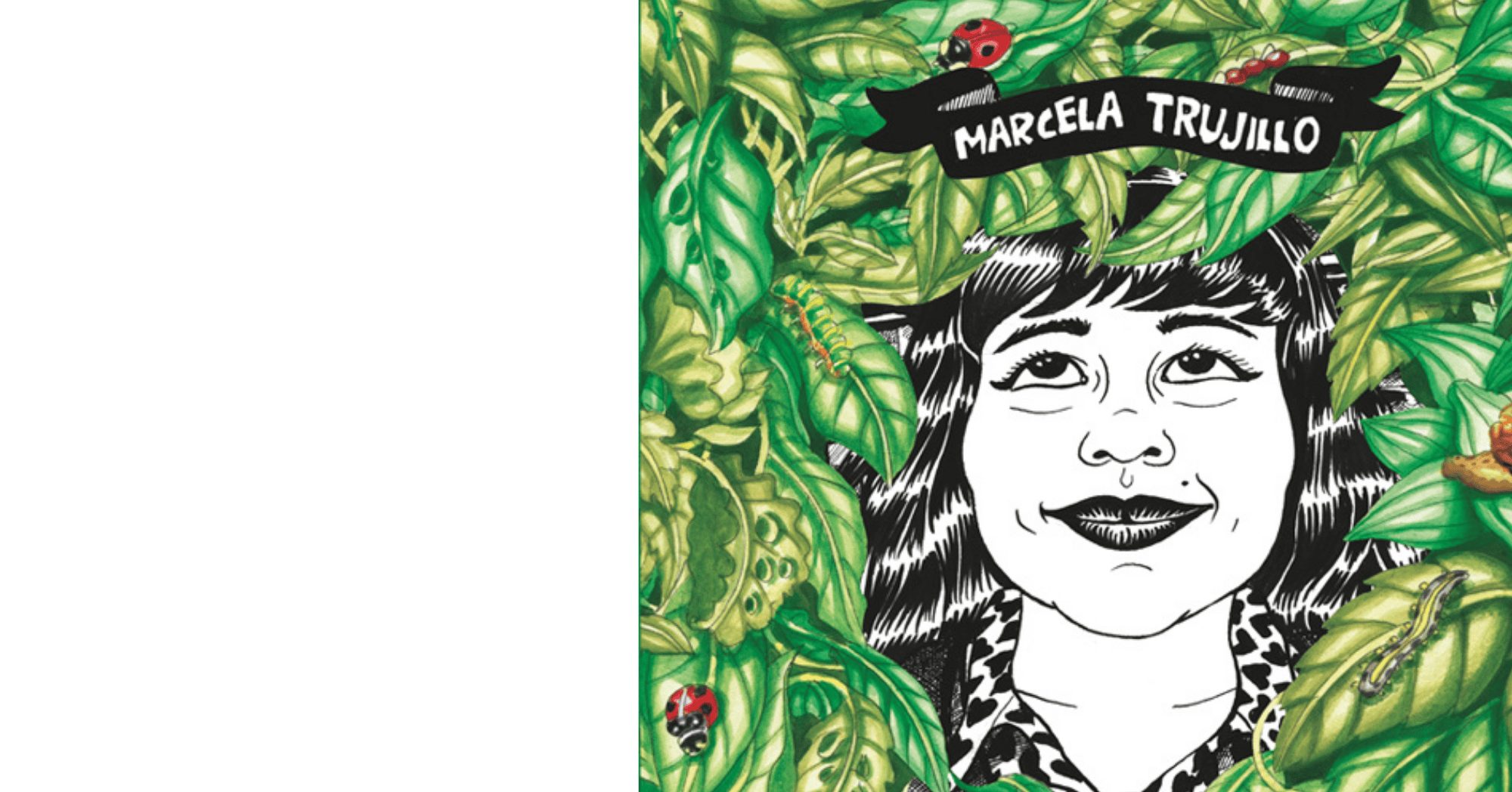 Novela gráfica. De la idea al storyboard