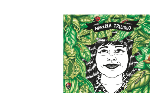 Novela gráfica. De la idea al storyboard