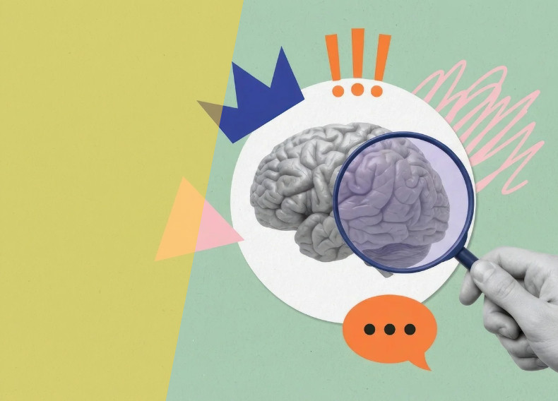 Neurociencia y escritura creativa: comprende tu cerebro, activa tu potencial