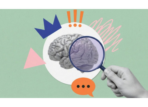 Neurociencia y escritura creativa: comprende tu cerebro, activa tu potencial